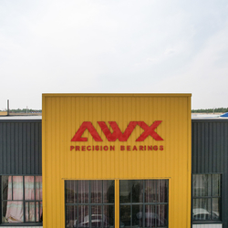 Shandong Awx Bearing  Co., Ltd. निर्माता उत्पादन लाइन